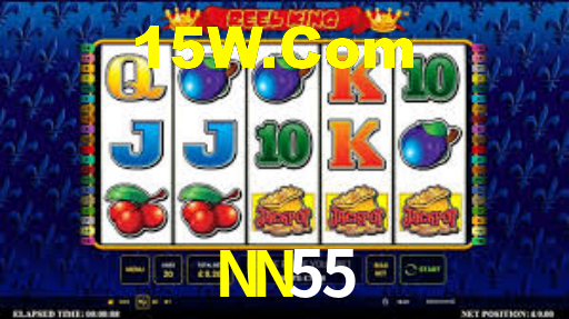 NN55